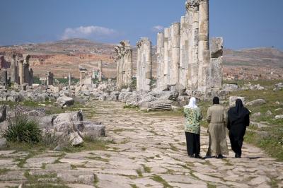 春のハマとアパメア