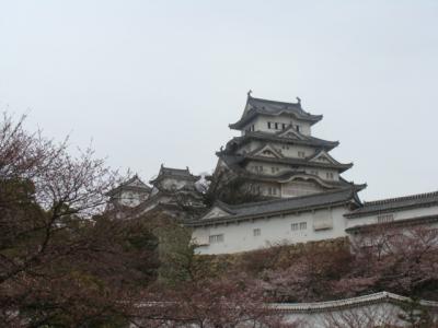 2008年　桜の旅　３