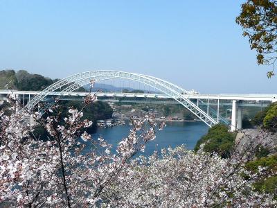 飽きもせず２人の観桜会*:..｡o○☆