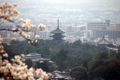 202奈良公園・若草山