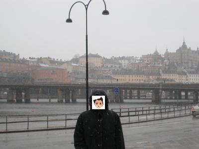 ノルショーピン、ストックホルム