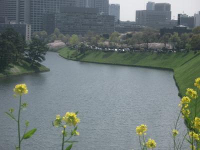 半蔵門から見る景色の雄大さは東京随一です。