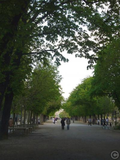 ■4月はじめのリュクサンブルグ公園Jardin du Luxembourg（パリ）