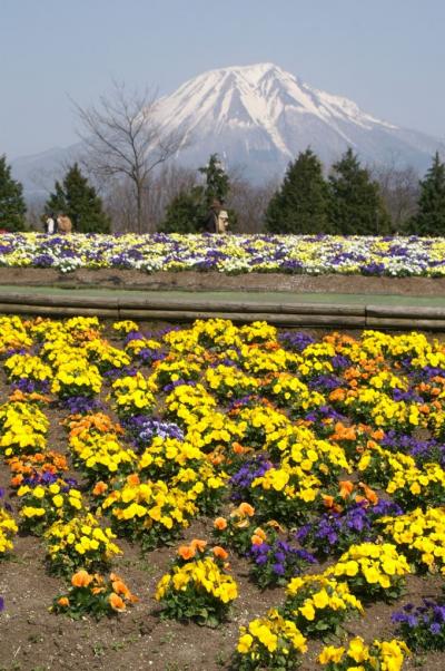 植村正治写真美術館・とっとり花回廊