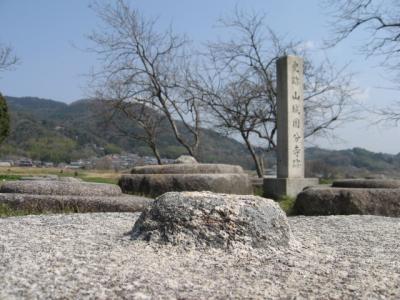 奈良・京都の旅　1　 お茶の香りと聖武天皇の夢の跡　