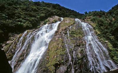 屋久島日記・1 ～大川の滝とトローキの滝