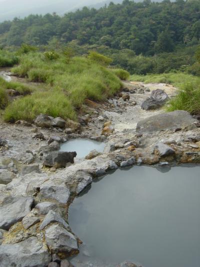 別府・湯布院温泉巡り