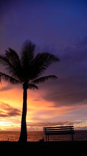 ブルネイ&コタキナバル2008(全7日間)1