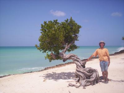 カリブ海の小さな島国アルバについて