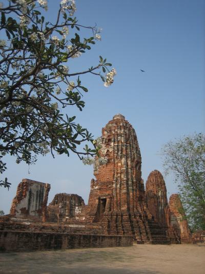 ダイエット合宿?! バンコク&アユタヤ