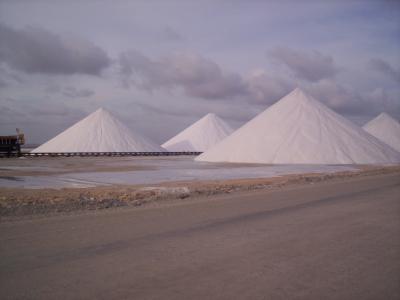 ボネール島滞在記