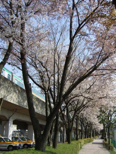 首都圏桜紀行～古河～