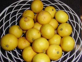 小田原　女性２人旅　日帰りでもたっぷり楽しめました！