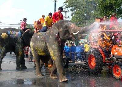 “象と楽しむ水かけ祭り”に行ってきましたぁ。