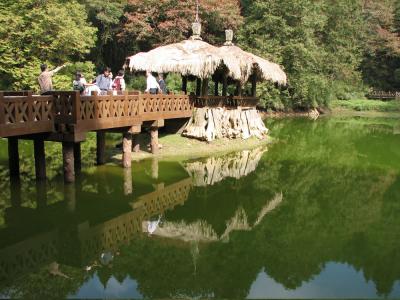 阿里山、ヒノキとコーヒーとお茶