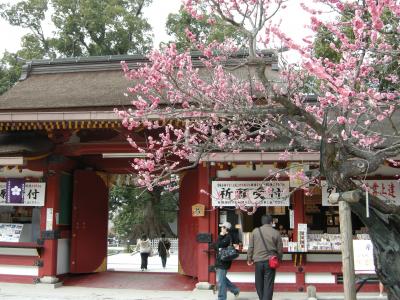 九州一人旅 2008 その?　～福岡・中州/大宰府～