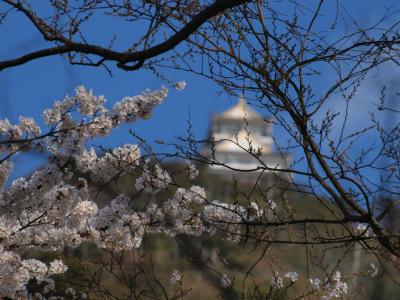 青春１８キップの旅２００８春その４　桜を求めて、名古屋、岐阜の旅?