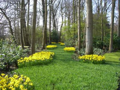 オランダ・ドイツ旅行記　キューケンホフ公園編