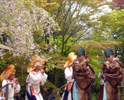 2008 桜・桜・桜・新座市（平林寺・半僧坊祭）編