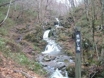 桜を探して自家用車の旅2008