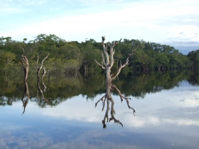 南米縦断の旅?ブラジル　X アマゾンジャングル