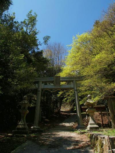 新緑の丹生山系登山