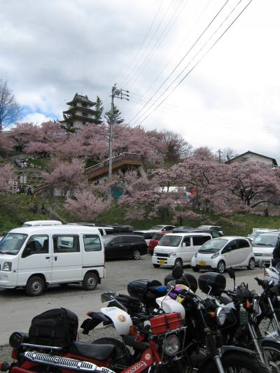 桜ツーリング（高遠）