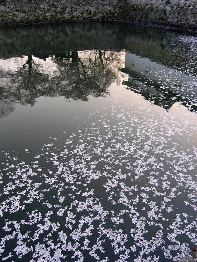 近江路・花の生涯、彦根