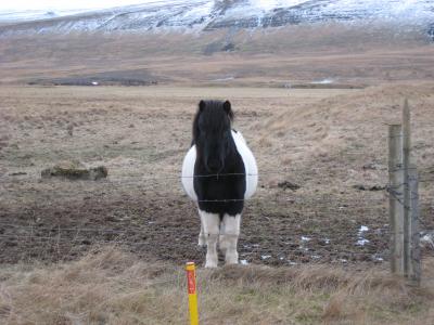 アイスランド母娘旅（その２）