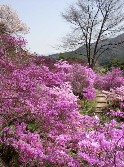 つつじの中山道