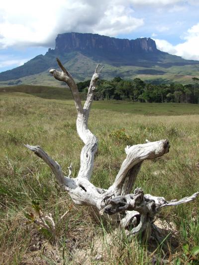 南米縦断の旅?ベネスエラ　ギアナ高地 Part1