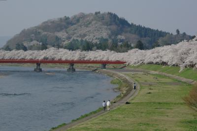 桜三昧　３（角館桧木内川）