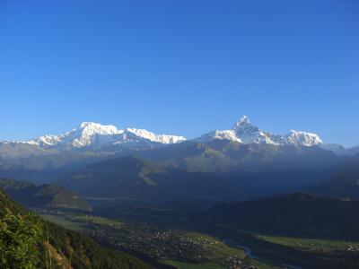 サプライズ登場