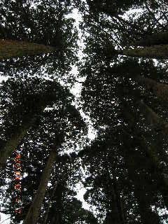 諏訪大社春宮・川中島合戦跡・戸隠神社・善光寺