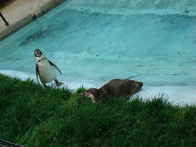 let's八木山動物公園　～ヒマそうな動物たち～