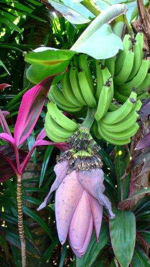 ブルネイ&コタキナバル2008(全7日間)3