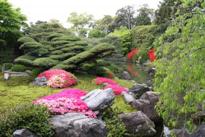 GWの京都散策：城南宮の花便りなど