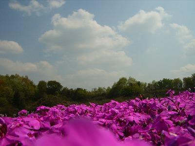 栃木と茨城へ花追い