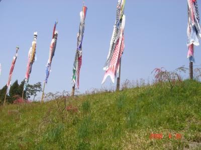 藤の花と初夏ツーリング（稲武・浜名湖）