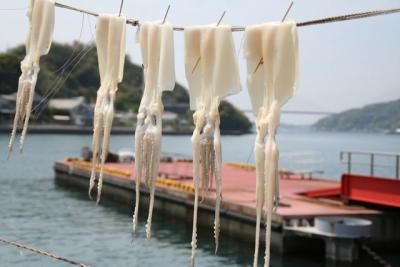 呼子にイカを食べに行った