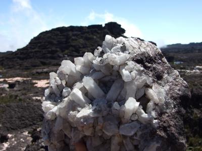 南米縦断の旅?ベネスエラ　ギアナ高地 Part3