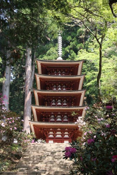 GWの奈良散策：新緑の室生寺