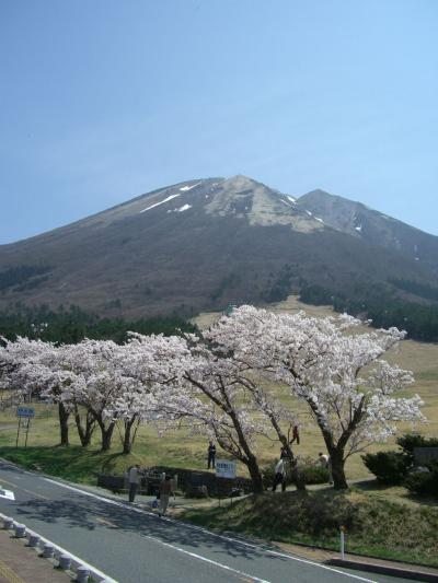 大 山 ・ 桝 水 高 原 に て