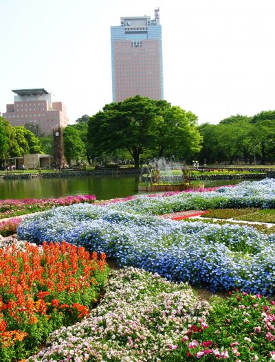 花緑楽祭-1　前橋公園・なごみの庭　☆立体花壇・しあわせ花壇など