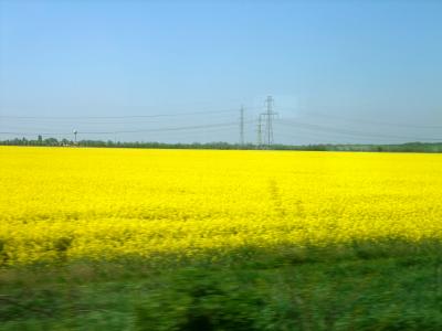 ブダペスト＆ウィーン　2008春　陸の旅～鉄道でブダペスト→ウィーン～