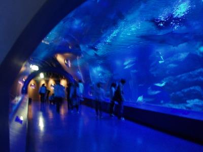 エプソン品川水族館