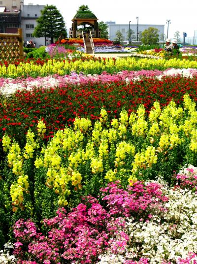 花緑楽祭-5　高崎会場の花アート　☆刺繍花壇やシティアートなど