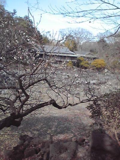 ナビの旅？三島