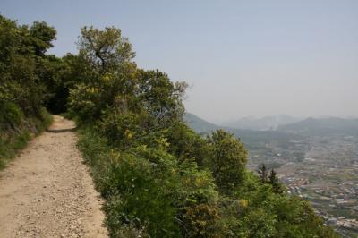 讃岐富士（飯野山）