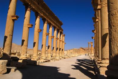 世界遺産Palmyra遺跡 1列柱道路